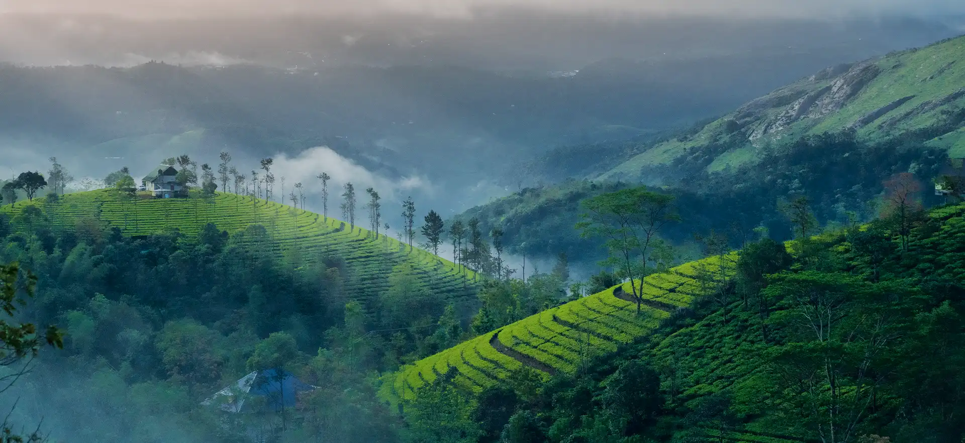 munnar hills